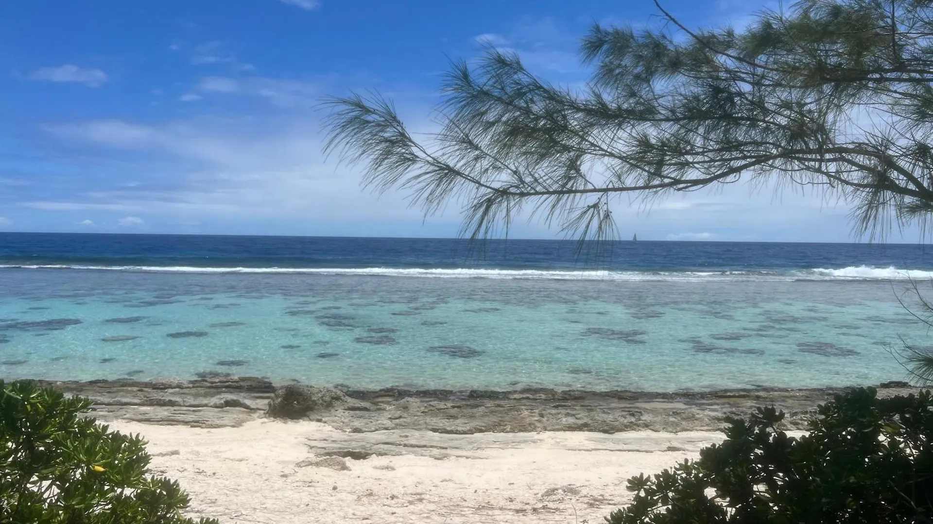 ロッジ Moorea Reef Bungalows - Kahaia